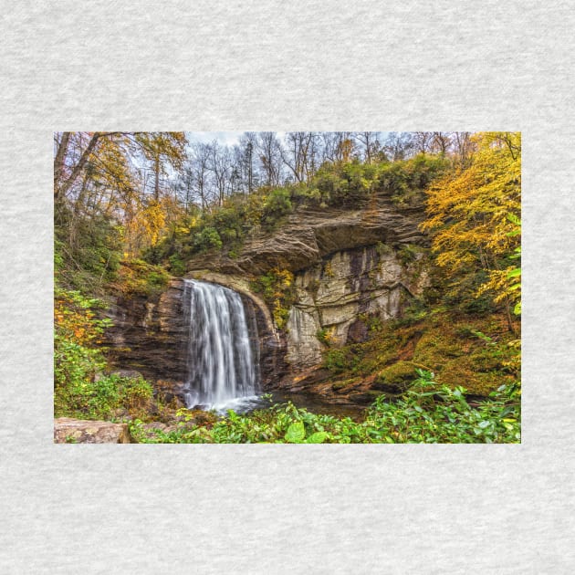 Looking Glass Falls, North Carolina by Gestalt Imagery